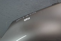 фото thumb №6, Renault scenic iii tekng крила лівий перед b2568