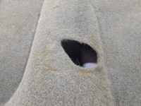 фото thumb №8, Corolla e16 e18 xi sedan обшивка коврик пол eu 58510-02j80