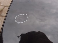 фото thumb №4, Дверь левый зад qashqai ii j11 2017r z11