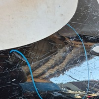 фото thumb №10, Opel astra v 5 k 15-22 крыло перед переднее правые