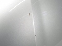 Капот крышка двигателя audi a6 c7 lx7w Недорого, фото thumb