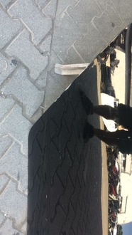 фото thumb №4, Hyundai i20 2021- дверь задняя задние правое