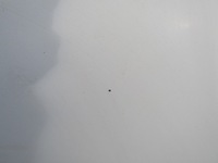 фото thumb №10, Doblo i 03r капот крышка двигателя