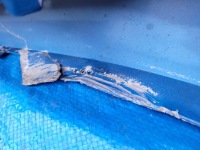 фото thumb №11, Skoda rapid ii | бампер перед передний решётка 5ja807221 | 1113