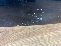 фото thumb №11, Кришка багажника багажника задня ford explorer mk6 20+