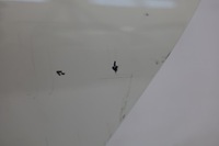 фото thumb №7, Дверь левая левый задняя задние bmw g12 a300