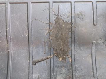 фото thumb №7, Плита защита pod двигатель renault clio iii 8200520829 8200520832