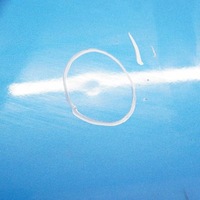 фото thumb №10, Mini cooper r55 r56 двері праве laser blue a59