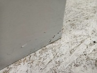 фото thumb №6, Двері праве задні правий задня peugeot 301 citroen c-elysee 12-