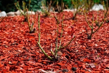 ДЕКОРАТИВНЫЕ ЧИПСЫ COLORUL BARK 50л Red CHIP