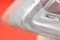 фото thumb №10, Противотуманная фара правый перед передний 27156400 citroen c5 ii x7 iii 08-17