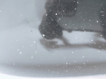 фото thumb №10, Peugeot 308 ii t9 бампер перед переднее ktvd