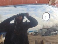 Капот c197 mercedes w219 Недорого, фото thumb