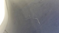 фото thumb №8, Крышка зад задняя tesla модель 3 рестайлинг оригинал