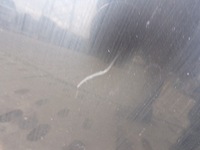 фото thumb №7, Капот крышка двигателя audi a6 c5 lift