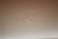 фото thumb №7, Спойлер спойлер спойлер жовтий honda hr-v h-r v 1 i 3d 98-01