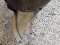 фото thumb №7, Підкрилок правий перед skoda octavia ii lift 1.6 tdi