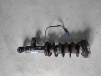 фото thumb №1, Bmw x3 g01 2.0d xdrive амортизатор правий задня 6887148