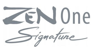 IFI AUDIO ZEN ONE SIGNATURE ЦАП BT КОНВЕРТЕР 5.1