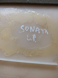 фото thumb №8, Hyundai sonata оббивка двері лівий перед