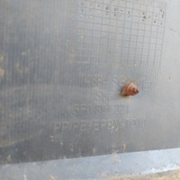 фото thumb №11, Seat leon iii бампер перед передний kompletny 2012- 5f0807221