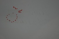 фото thumb №10, Дверь правый перед nissan juke f15 i