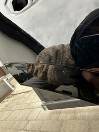 фото thumb №4, Audi q5 ii 80a дверь правые задние зад