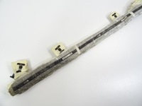 фото thumb №7, Mini countryman r60 air bag шторка безопасности левая