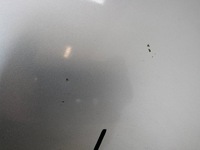 фото thumb №7, Капот перед ted69 renault twingo ii 2007-