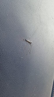 фото thumb №9, Jeep grand cherokee wl limited l 2021 22 23 air bag панель приладів консоль подушки безпеки