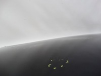 фото thumb №14, Mazda 3 iii bm 2013-2018 капот кришка двигуна оригінальна