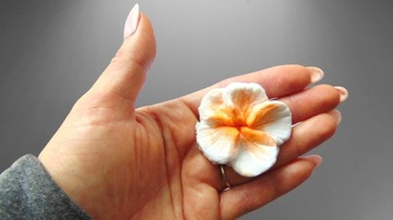 СИЛИКОНОВАЯ ВОСКОВАЯ СМОЛА MOL FLOWER ДЛЯ СВЕЧЕЙ ЦВЕТЫ ТРОПИЧЕСКАЯ