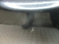 фото thumb №3, Двері правий перед opel zafira b z20r