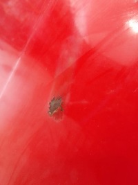 Купить Jaguar xjs 75-96 капот передняя америка, фото thumb