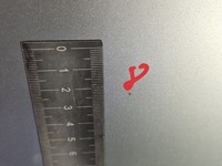 фото thumb №11, Капот передняя renault scenic ii серебристый ted69