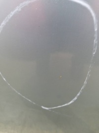 фото thumb №6, Двері ліва перед toyota scion tc i 2004-2010