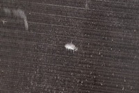 фото thumb №13, Радиатор wody 866922f renault thalia 1 i 1.4 8v 75 km 02-06