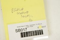 фото thumb №7, Sb017 skoda fabia iv 21- защита стойка правая средняя 6va867282