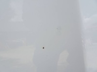фото thumb №6, Капот перед kpl. alfa romeo giulietta 296/a