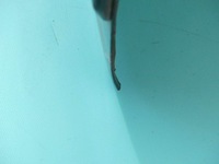 фото thumb №13, Дверь перед левая honda fr-v