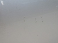 фото thumb №5, Дверь левая перед передние r230 lift sl 775