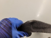 фото thumb №5, Полиця задня багажника vw new beetle 1997-2010 czarna