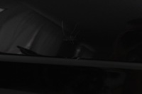 фото thumb №4, Captiva двері перед ліві gar