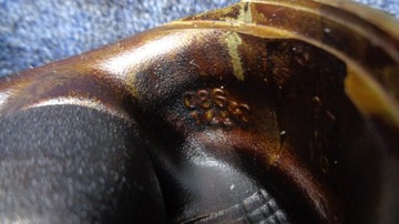 фото thumb №8, Поршень fiat croma 2 ii 2.2 16v 2005-2011r.