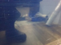 фото thumb №7, Дверь задние правое skoda octavia ii