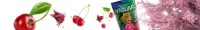 Yerba Mate Yaguar Cherry Lady 0,5кг вишня 500г