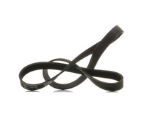 фото thumb №2, Ремень клиновой ridex plus 305p0501p 1190mm do vw golf v хэтчбек 1k1