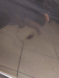 фото thumb №11, Mitsubishi outlander i дверь правый перед