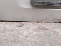 фото thumb №6, Крышка багажника opel zafira b z157