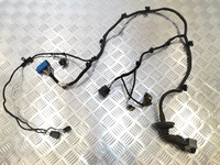 фото thumb №1, Джгут двері лівий задня maserati quattroporte vi